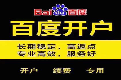 SEM竞价代运营：案例展示精准营销效果